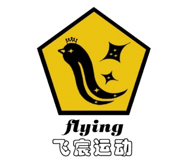 中国格斗家协会授予江苏省Flying运动馆为指定培训考级合作单位公函